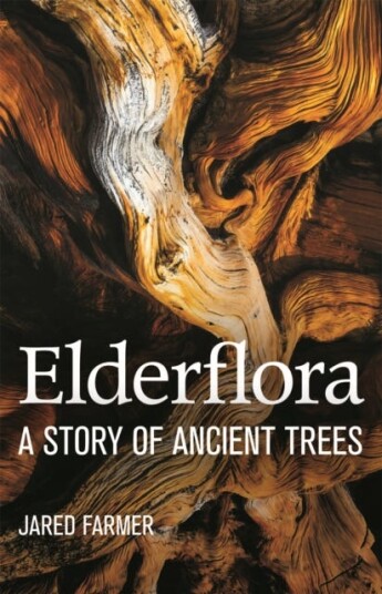 Elderflora  A Modern History of Ancient Trees