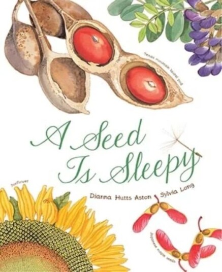 A Seed Is Sleepy Av Dianna Aston
