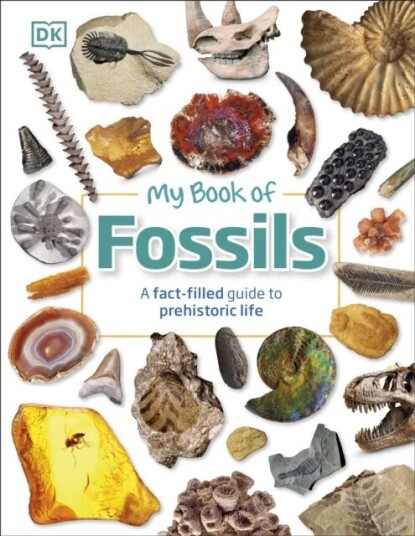 My Book Of Fossils Av Dk, Dean R. Lomax