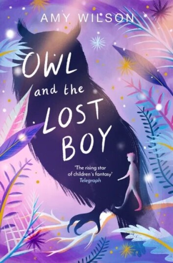 Owl And The Lost Boy Av Amy Wilson