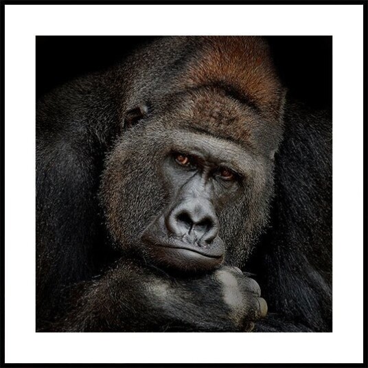 ONE MOMENT IN CONTACT Poster Plakat / 50x50cm