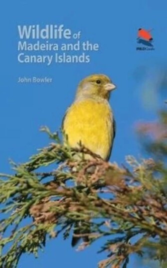 Wildlife Of Madeira And The Canary Islands Av John Bowler Wildlife Of Madeira And The Canary Islands Av John Bowler