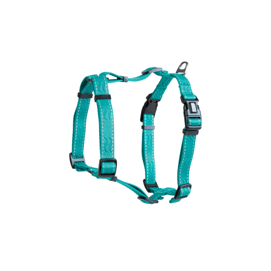 Sele Rufus H Justerbar Hundesele XXS/XS 10 mm x 35 cm Turkis