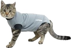Buster Body Suit Easygo Til Katt Buster Body Suit Easygo Til Katt