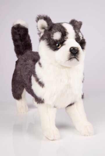 Hansa Creation | Husky Puppy Standing | Grå/Hvit | ca. 43 cm Hansa Creation | Husky Puppy Standing | Grå/Hvit | ca. 43 cm