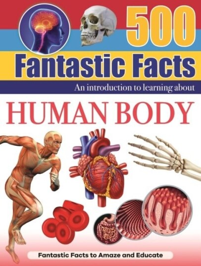 Human Body