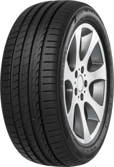 Minerva F205 255/45R19 104Y
