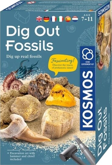 Dig Out Fossils Science Kit Dig Out Fossils Science Kit