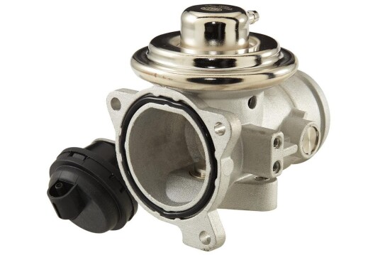 EGR Ventil HELLA 6NU 010 171-161