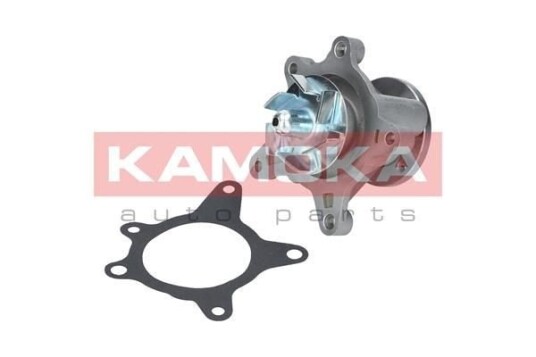 Vannpumpe KAMOKA T0163