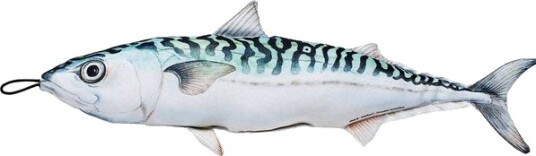 Marinor As Pute   Makrell   40cm