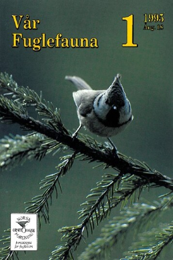 Norsk Ornitologisk Forening Vår Fuglefauna   1995 1 årgang 18