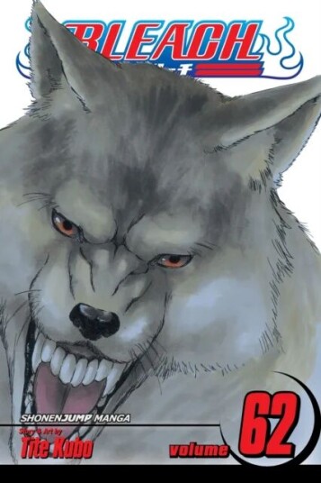 Bleach, Vol. 62 Av Tite Kubo