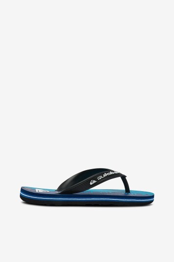 Quiksilver Flip flops Molokai Art 25 Youth Blå