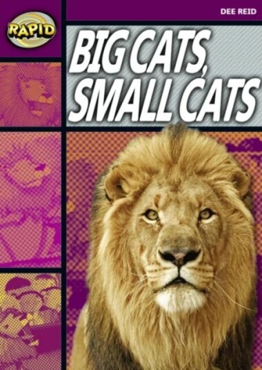 Rapid Reading: Big Cats Small Cats (Stage 1, Level 1a) Av Dee Reid