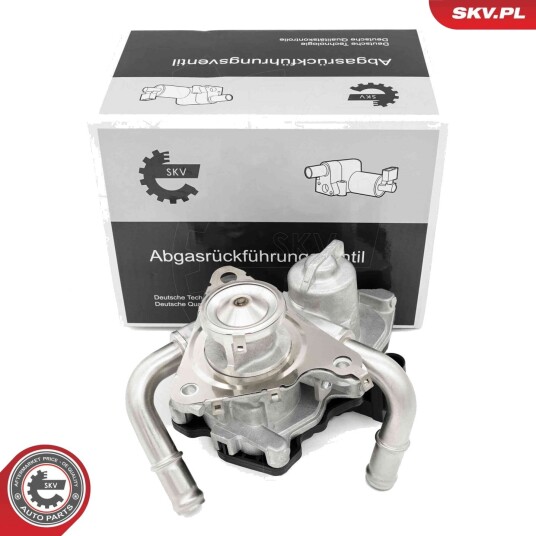 EGR Ventil ESEN SKV 14SKV278