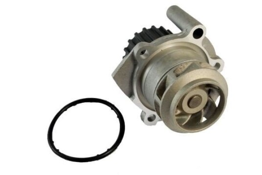 THERMOTEC D1W038TT Vannpumpe