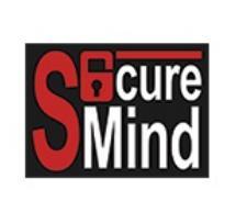 Lenovo MindTree SecureMind Video Surveillance Manager - lisens - 2 kameraer