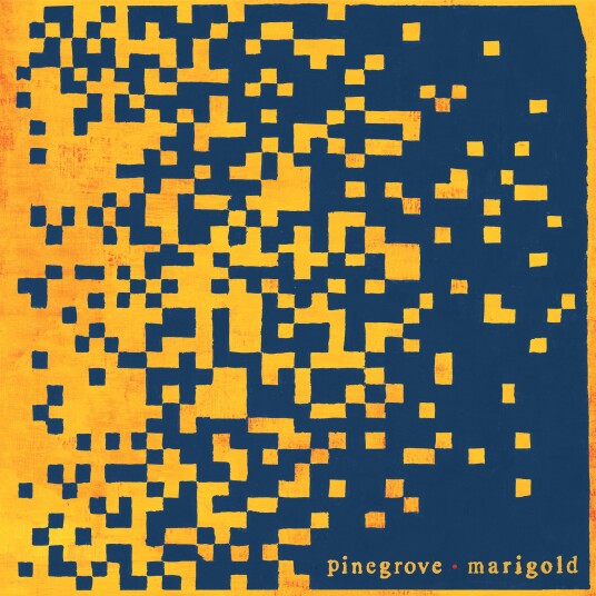 Pinegrove  Marigold  LP/Vinyl