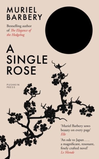 A Single Rose A Single Rose