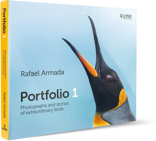 Portfolio 1