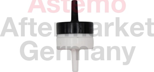 Tilbakeslagsventil HITACHI 2509317