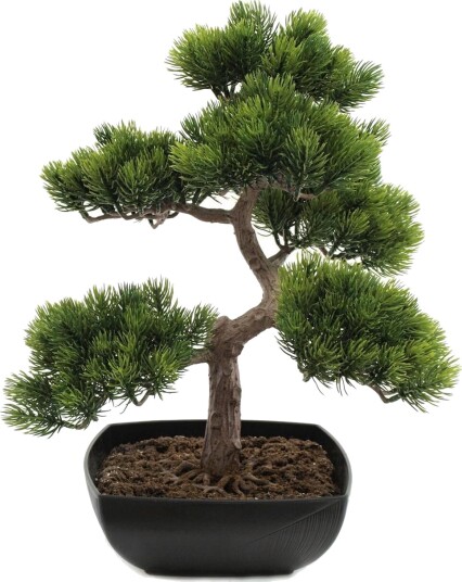 Europalms Pine Bonsai, 50cm Europalms Pine Bonsai, 50cm