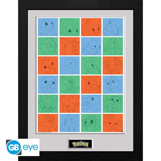 Pokemon Innrammet Bilde 30 x 40 cm Partner Grid