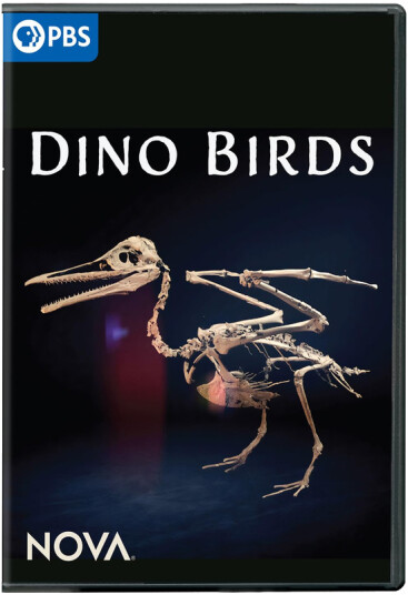 NOVA: Dino Birds DVD
