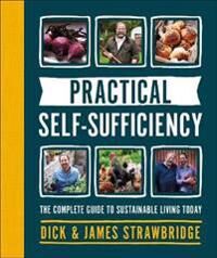 Practical Self-Sufficiency Av Dick Strawbridge, James Strawbridge