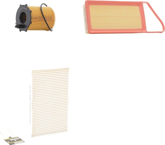 Filtersett RIDEX PLUS 4055F3087P