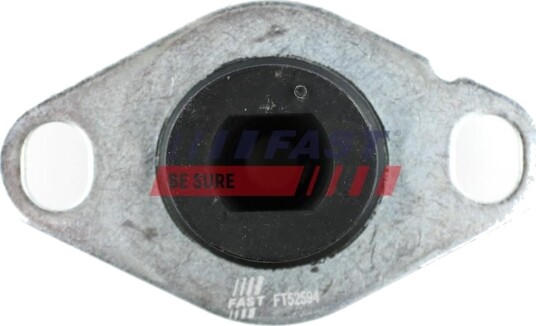 FAST FT52594 Motorfeste