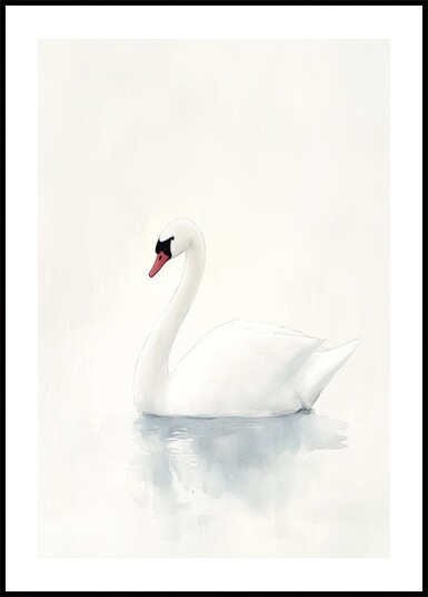 Graceful Swan Plakat Plakat / 50x70cm