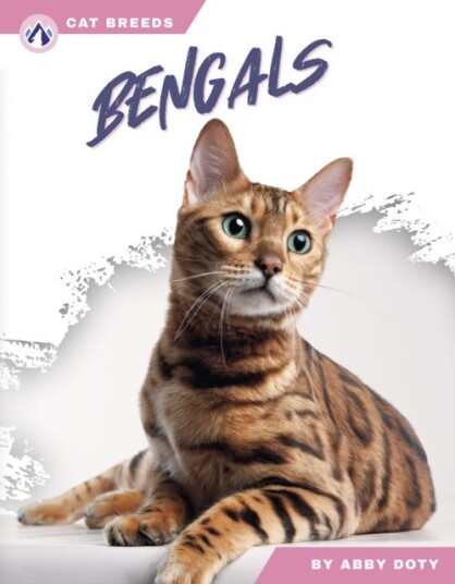 Cat Breeds: Bengals Cat Breeds: Bengals
