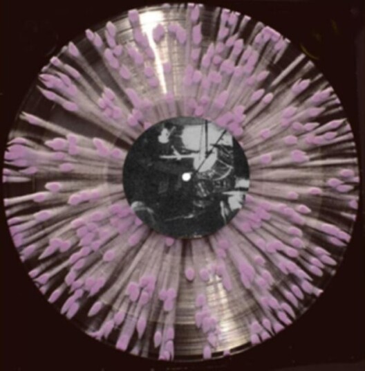 Slowcoaches  Nothing Gives  LP/Vinyl