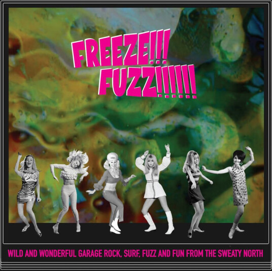 Freeze!!! Fuzz!!!!!! (Wild And Wonderful Garage Rock, Surf, Fuzz And Fun From The Sweaty North)
