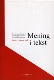 Mening i tekst: teorier og metoder i grunnleggende lese- og skriveopplæring, Pent brukt bok uten markeringer