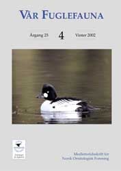 Norsk Ornitologisk Forening Vår Fuglefauna   2002 4 årgang 25