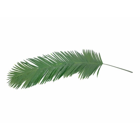 Europalms Kokosnøttkongepalmeblader, Kunstig, 180 Cm (82509847)