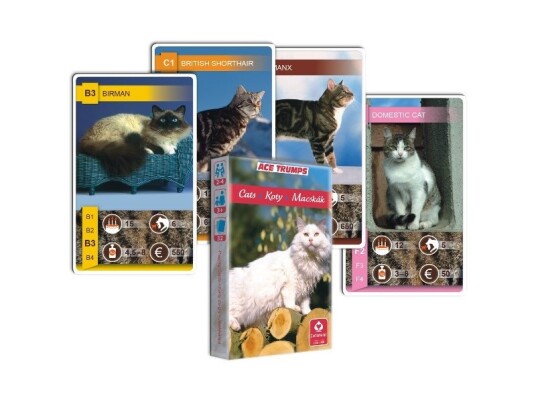 Quartet Of Cats Spill