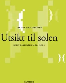 Utsikt Til Solen