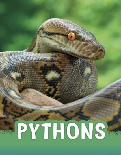 Pythons Av Martha E. H. Rustad