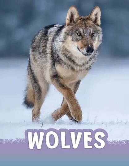Wolves Av Mari Schuh