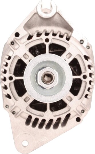 Dynamo WALKER WAL01352
