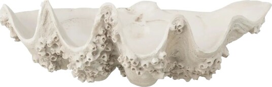 J Line Deco Bowl Seashell Res Wh S   White   H18CM