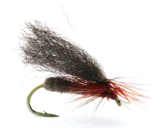 Flies Renaflua Brown Brown