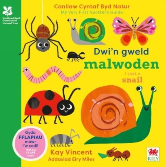 Dwi'n Gweld Malwoden / I Spot a Snail Dwi'n Gweld Malwoden / I Spot a Snail