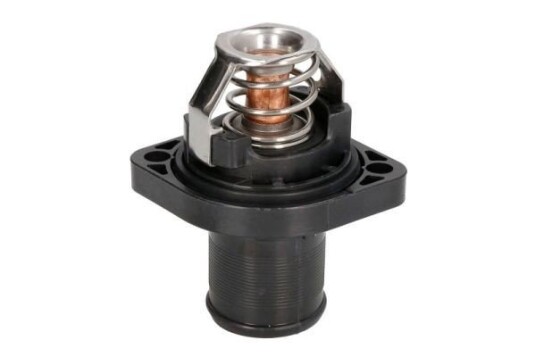 Termostat THERMOTEC D2C003TT