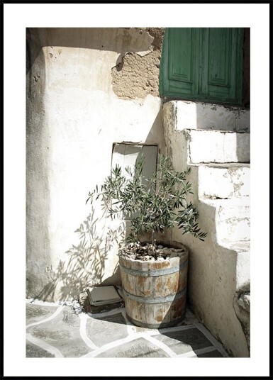 Charming Olive Tree in a Rustic Setting Plakat Plakat / 70x100cm