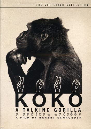 Koko A Talking Gorilla (1978) DVD Koko A Talking Gorilla (1978) DVD